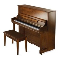 Alex Steinbach Sonata Upright Piano