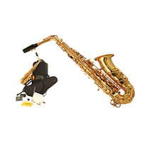 Wiseman Taurus Saxophone Package