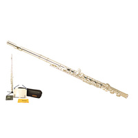 Wiseman Taurus Flute Package