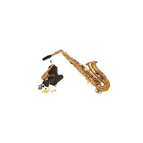 Wiseman Taurus Saxophone Package