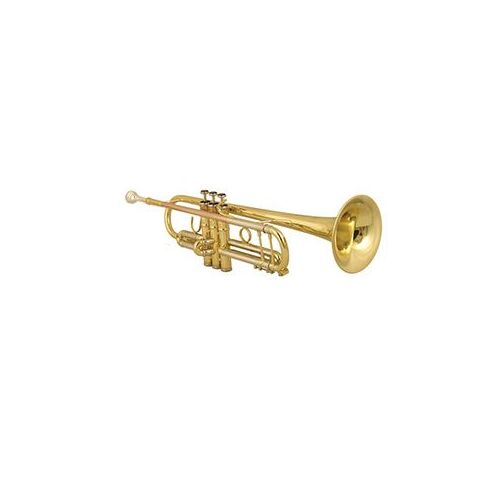 Wiseman Taurus Trumpet Package