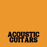 Acoustic Guitars