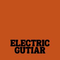 Electric Guitars